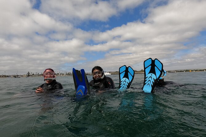 Snorkel San Diego's Mission Bay with a Marine Biologist - Why the tiny group size matters