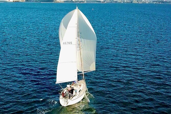 Spectacular Afternoon Sail on San Diego Bay - Key Points Before You Book