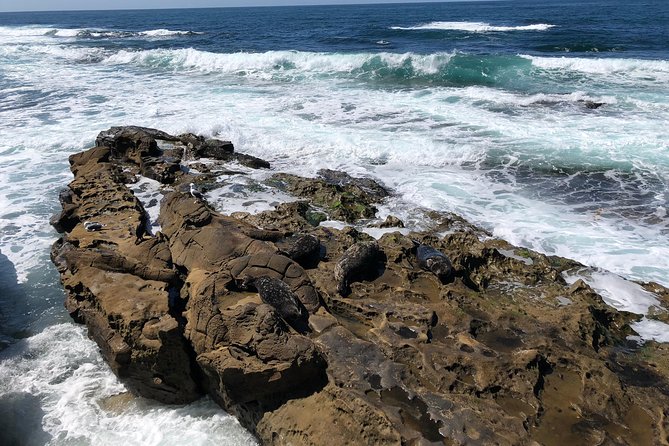 The La Jolla Tour - The contemporary art museum adds an indoor option
