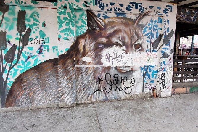 Tijuana Urban Art Walk from San Diego - What the $80 Price Really Covers