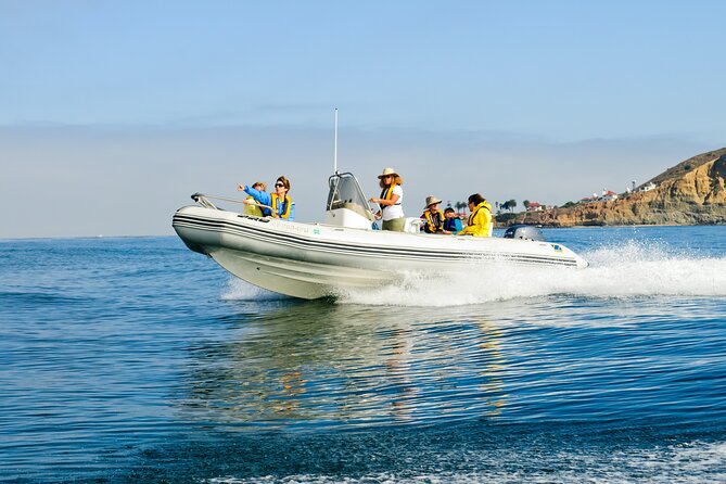 Whale and Dolphin Watching in San Diego - Leaving Mission Bay with Captain Ray or Alyssa