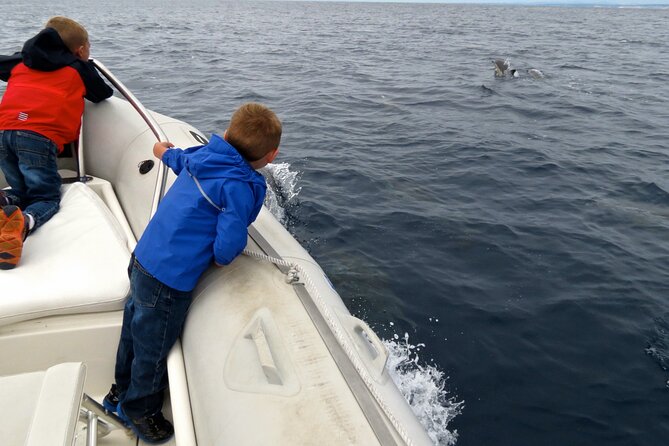 Whale and Dolphin Watching in San Diego - Is $149 a fair price?